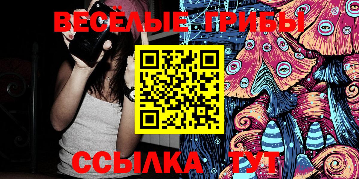 купить наркоту  Галлюциногенные грибы GOLDEN TEACHER  Вход с VPN  Псилоцибиновые грибы мицелий  Кизляр 