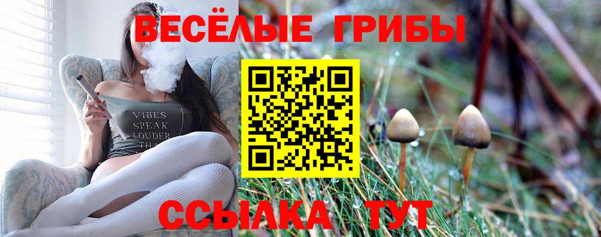 Галлюциногенные грибы мухоморы Кизляр